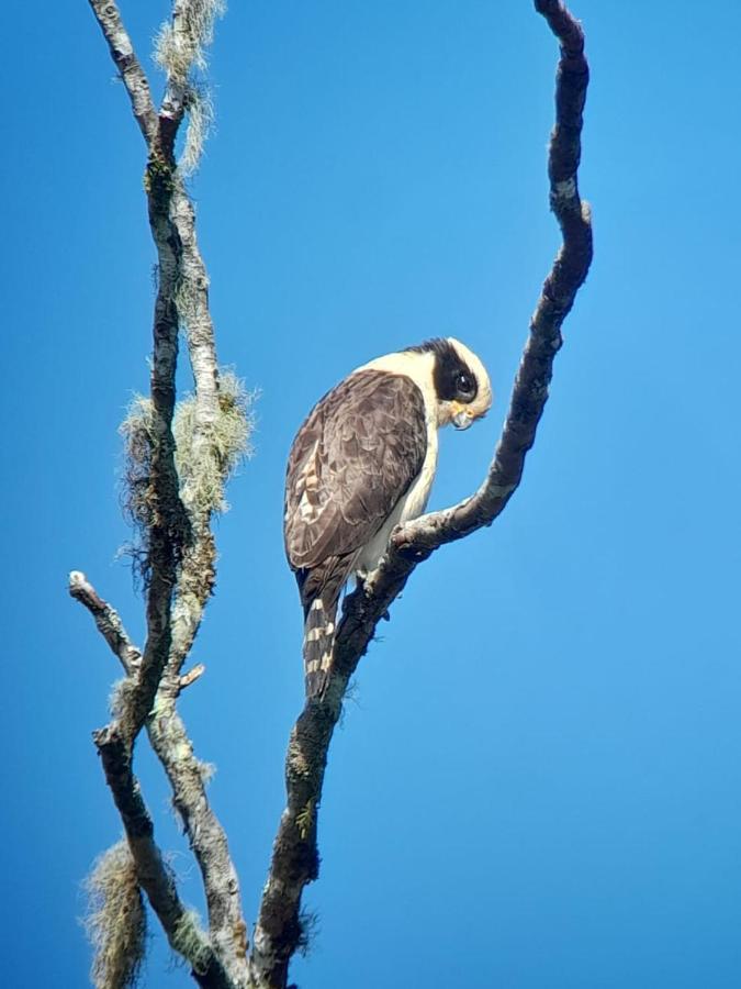 Sendero De Las Aves 明多 外观 照片