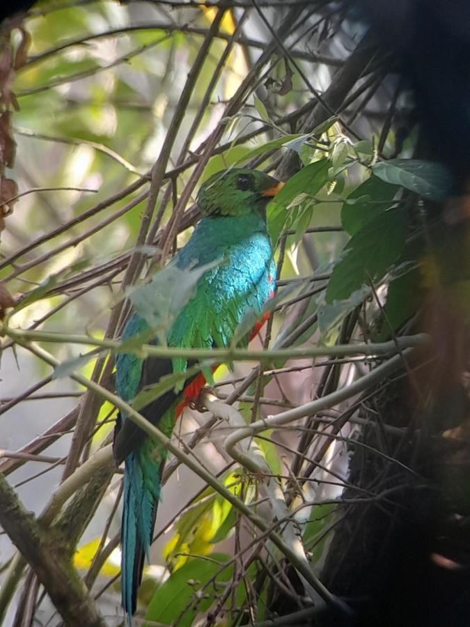 Sendero De Las Aves 明多 外观 照片