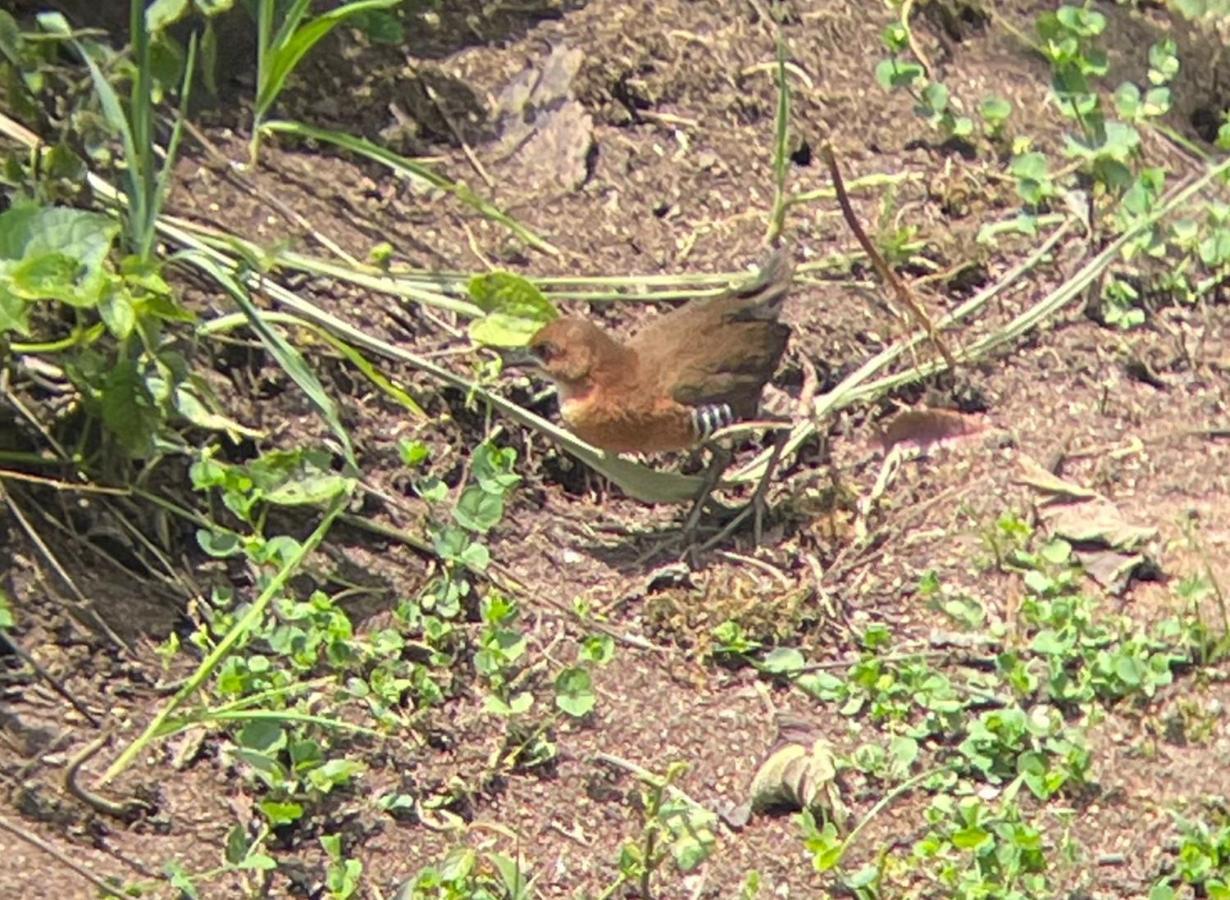 Sendero De Las Aves 明多 外观 照片