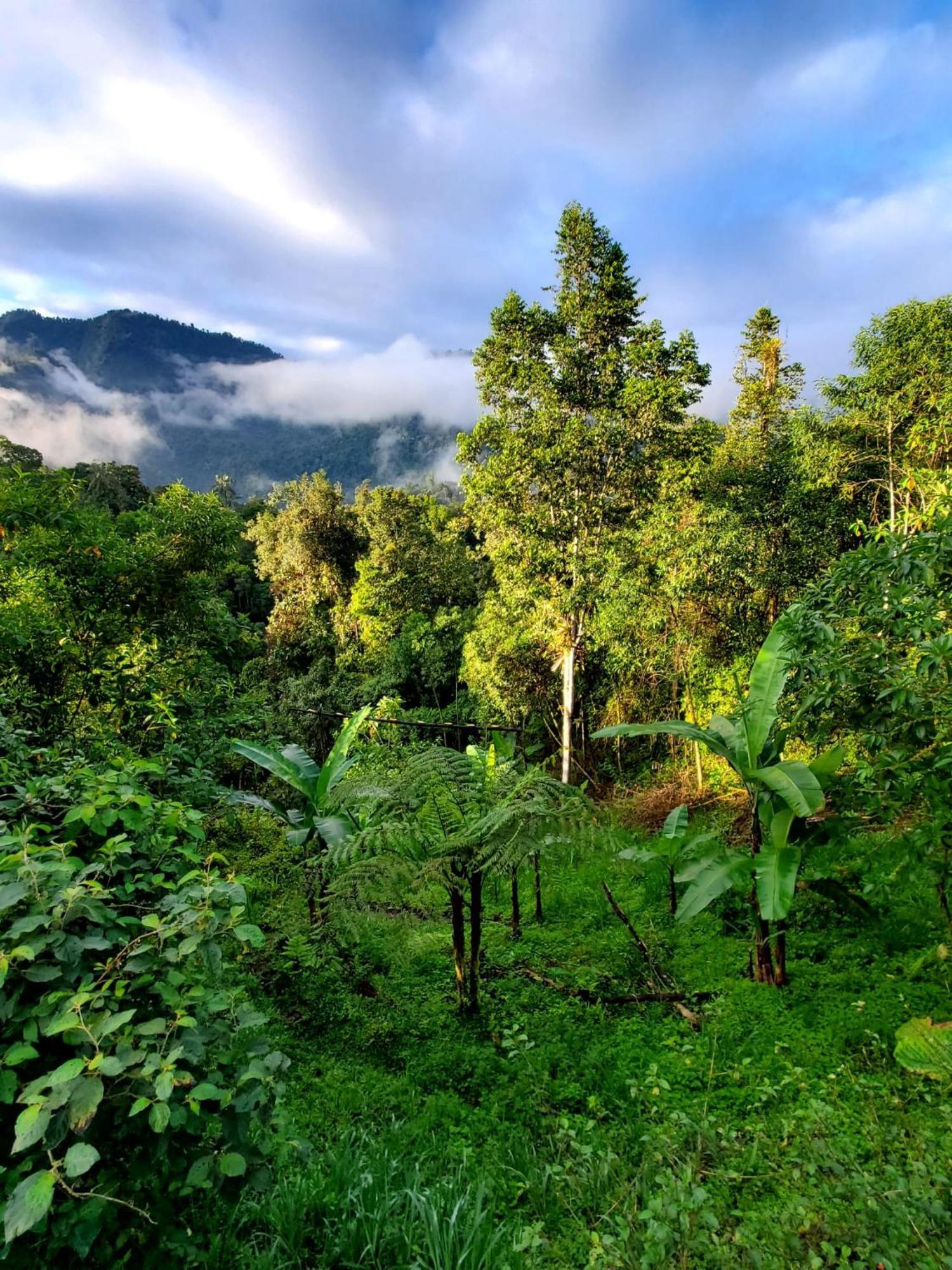 Sendero De Las Aves 明多 外观 照片