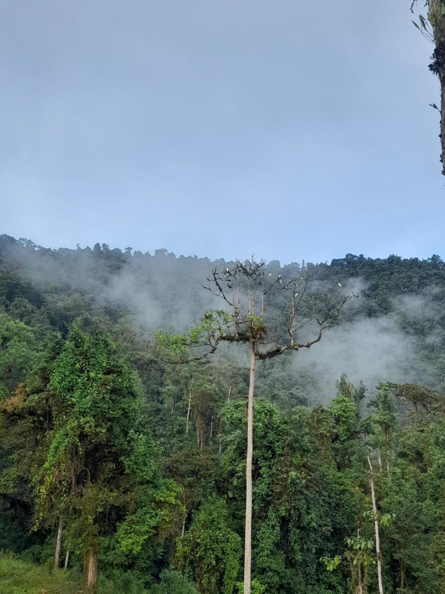 Sendero De Las Aves 明多 外观 照片