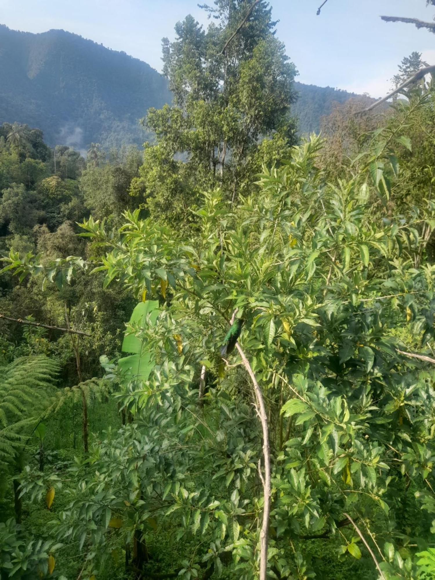 Sendero De Las Aves 明多 外观 照片