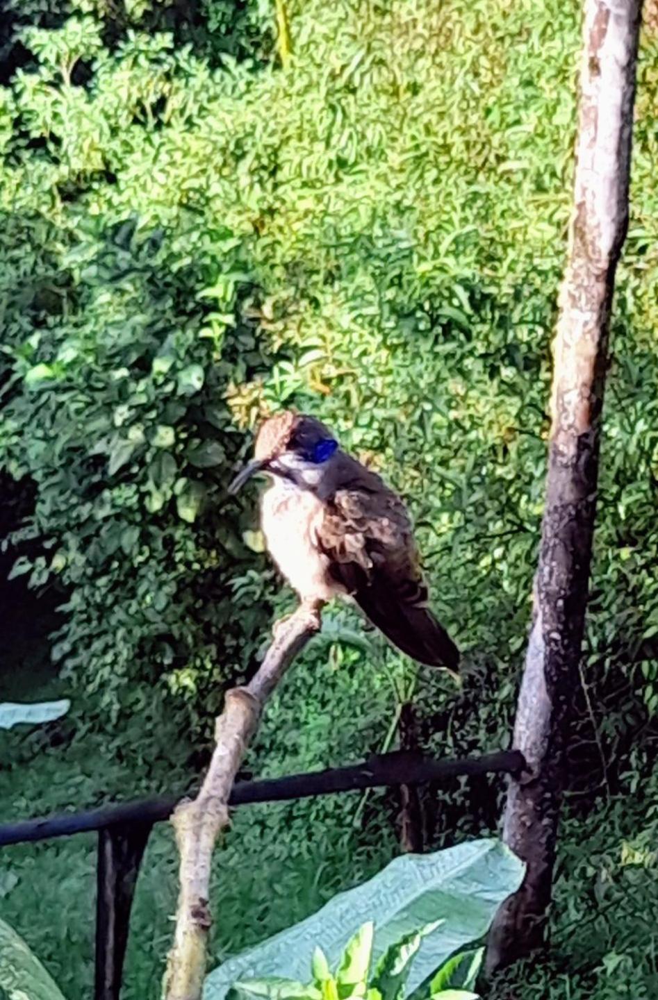 Sendero De Las Aves 明多 外观 照片