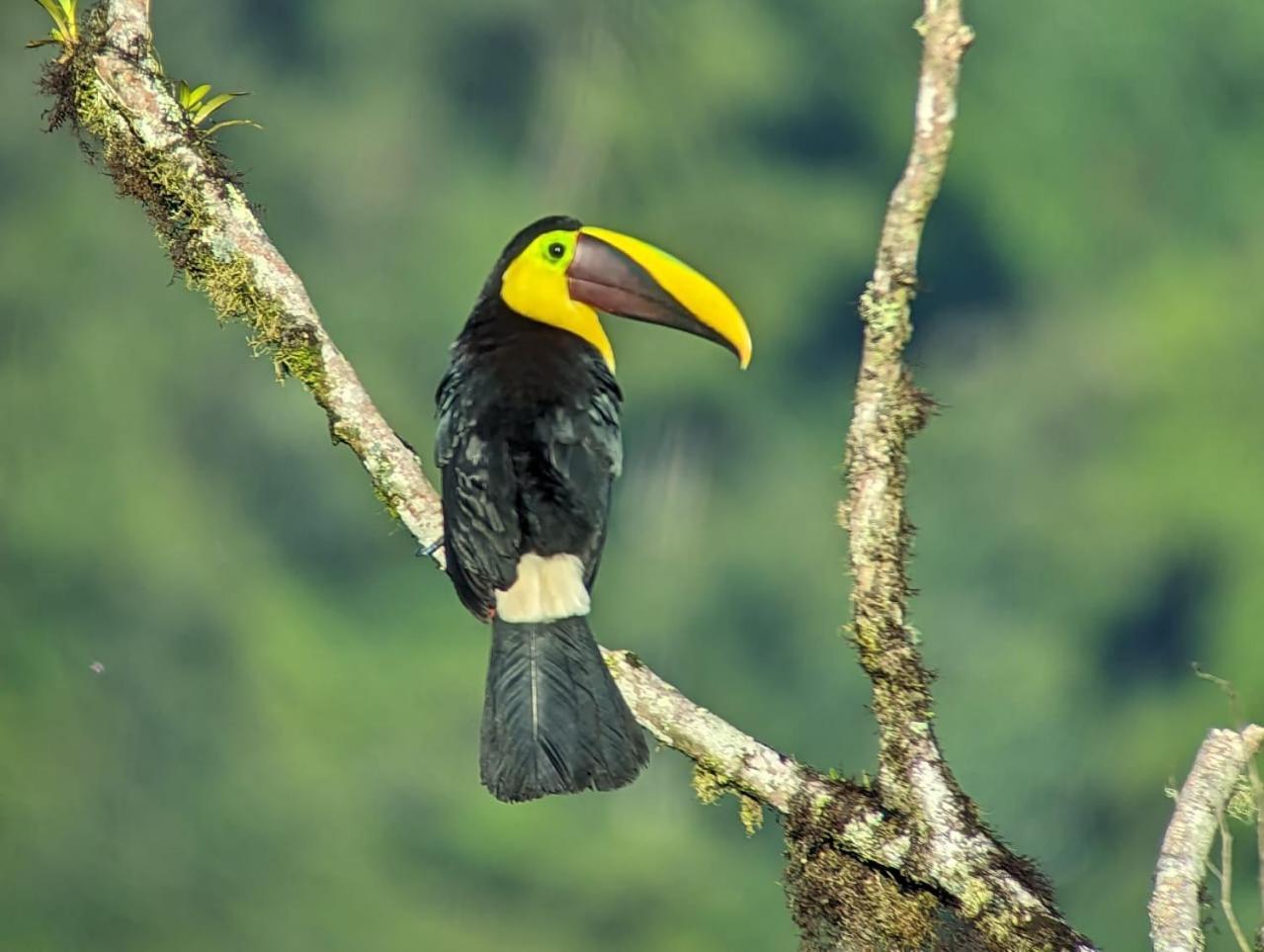 Sendero De Las Aves 明多 外观 照片