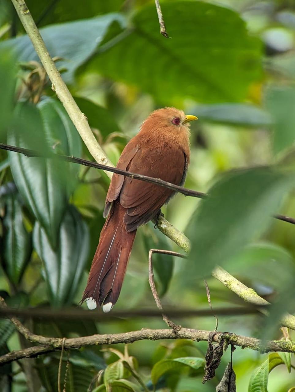 Sendero De Las Aves 明多 外观 照片